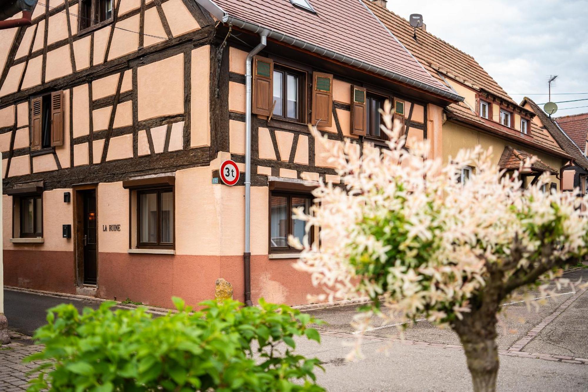 La Ruine - Gite D'Alsace Jusqu'A 10 Personnes Avec Spa Interieur Guémar 외부 사진